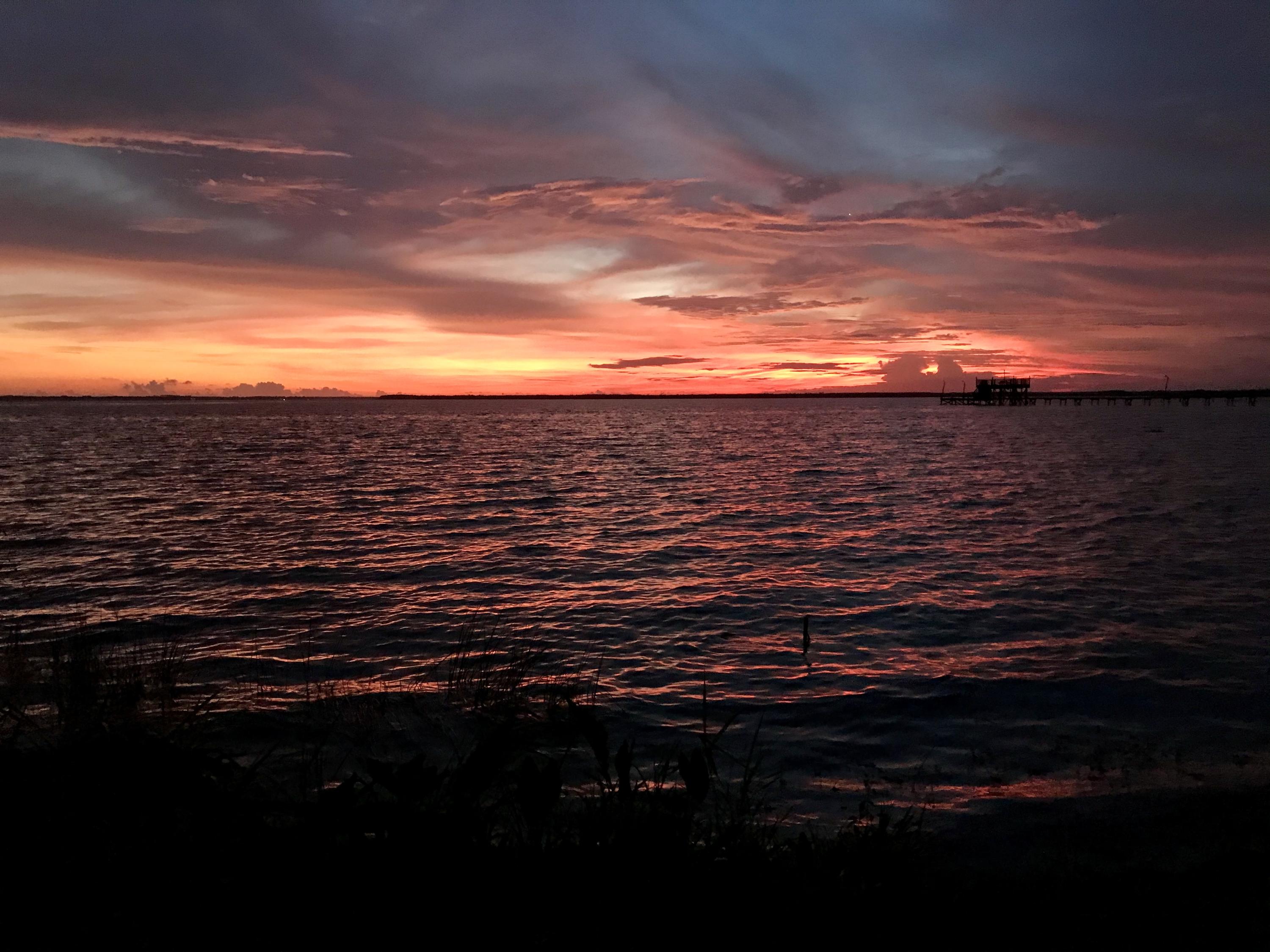 BAY FOREST - Residential