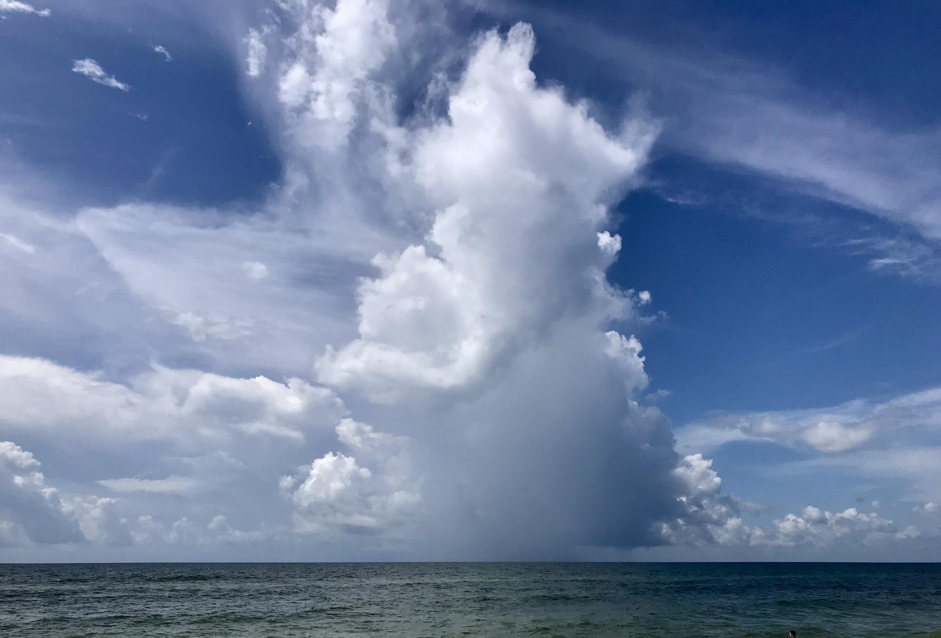 BAY FOREST - Residential