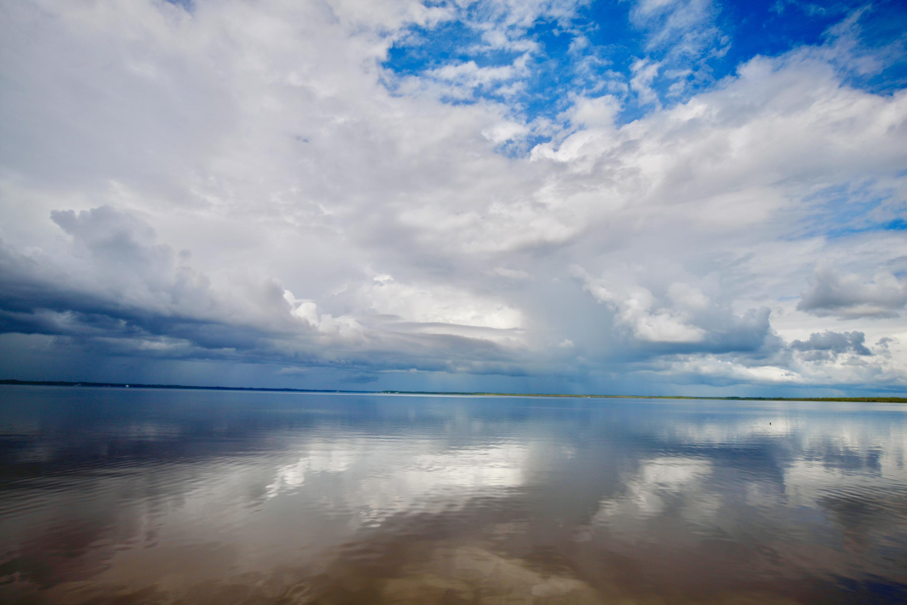 BAY FOREST - Residential