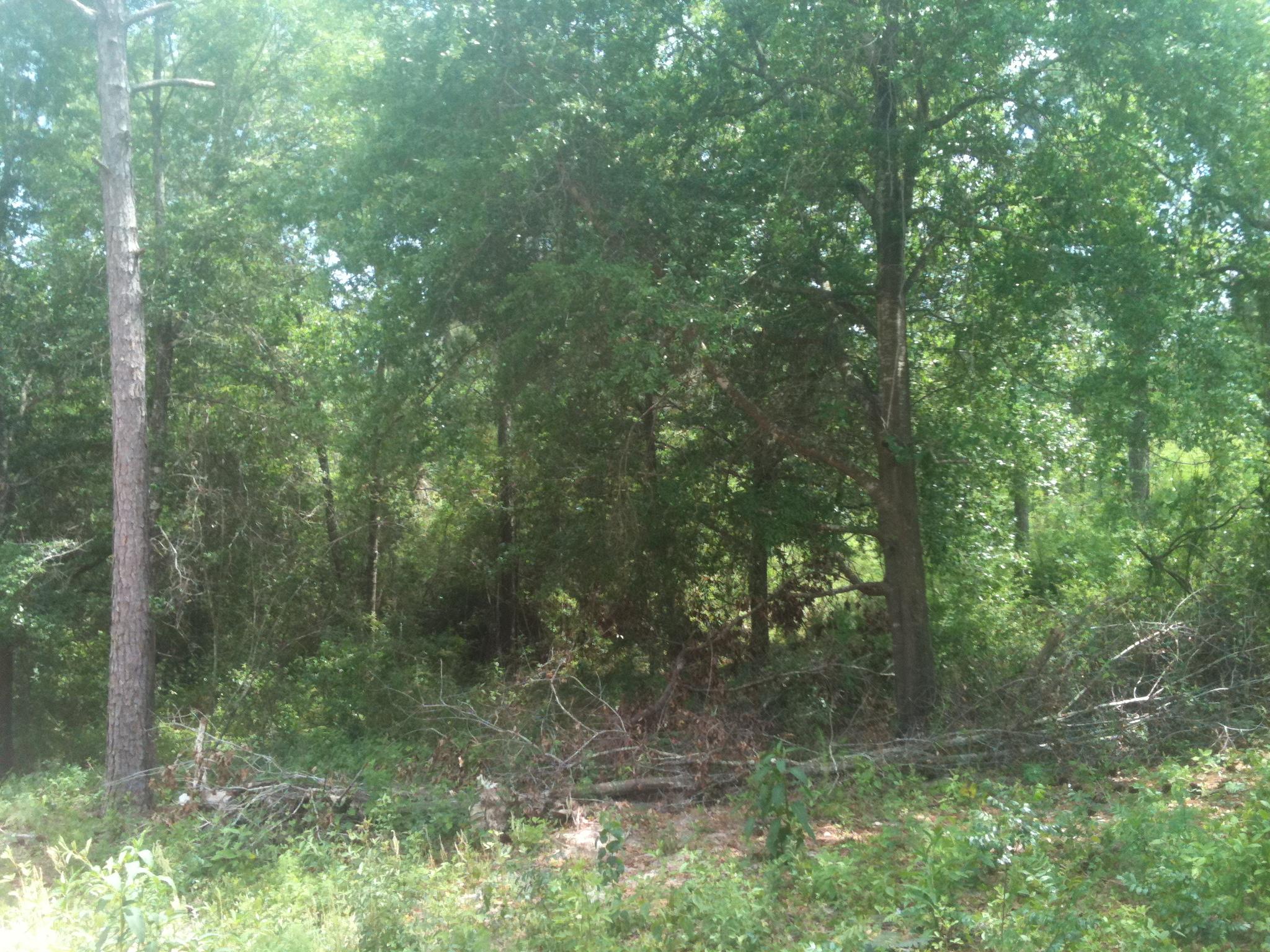 COUNTRYVIEW ESTATES - Residential