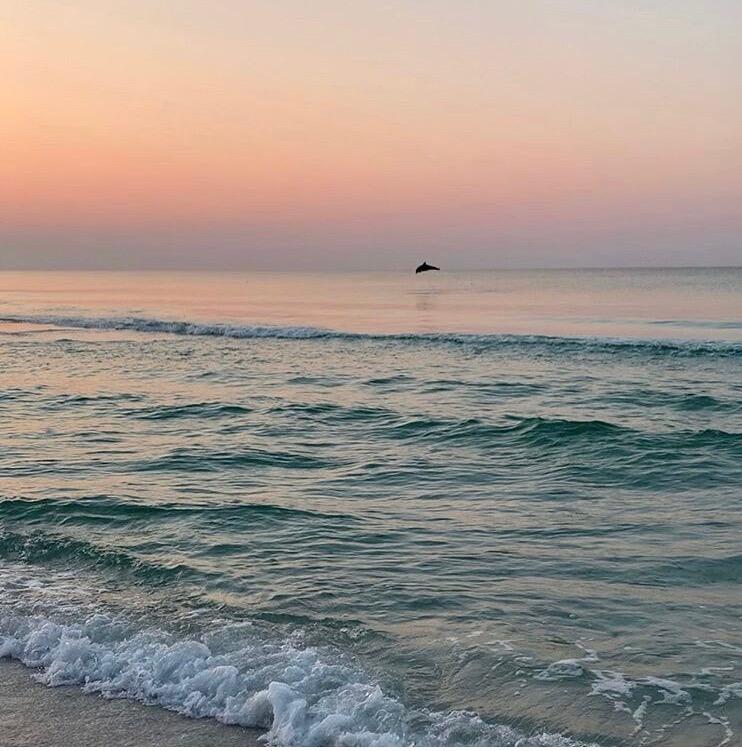 DEL MAR AT SANDESTIN - Residential