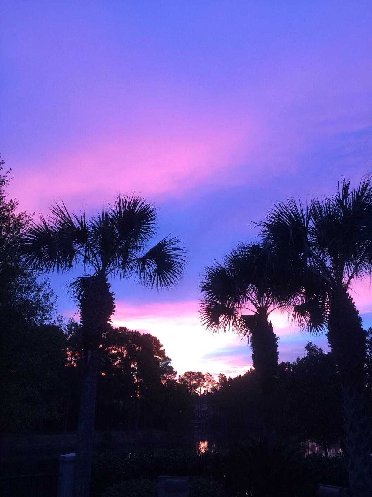 DEL MAR AT SANDESTIN - Residential