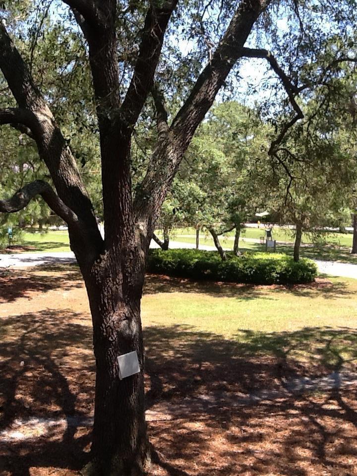 SEASCAPE CONDO GARDEN VILLA PHASE II - Residential