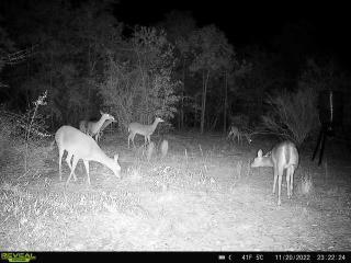 METES & BOUNDS - Farm