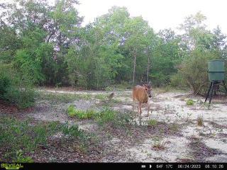 METES & BOUNDS - Farm