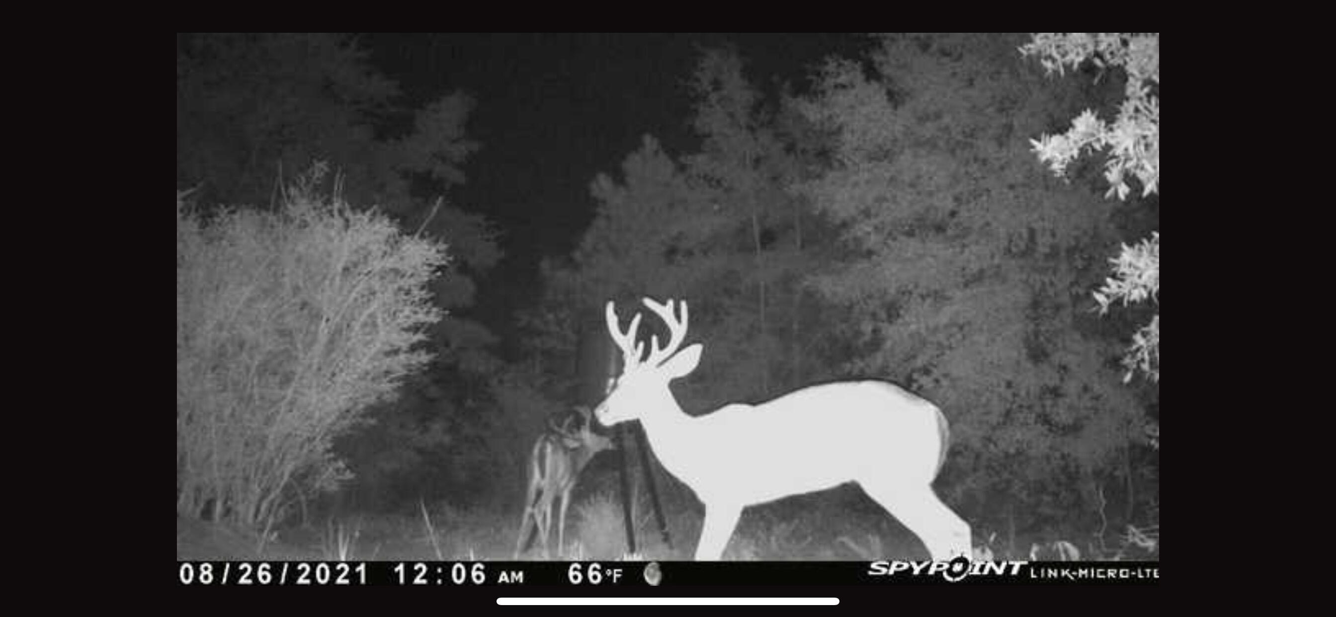 METES & BOUNDS - Farm