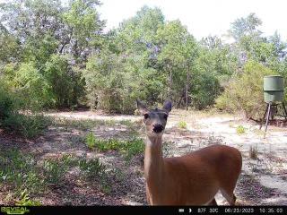 METES & BOUNDS - Farm