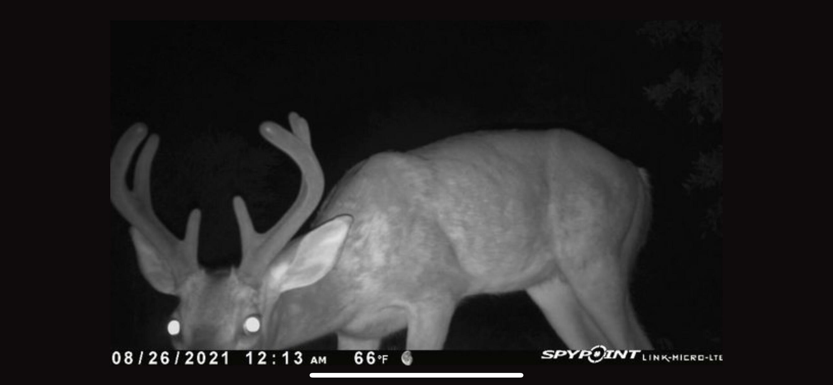 METES & BOUNDS - Farm