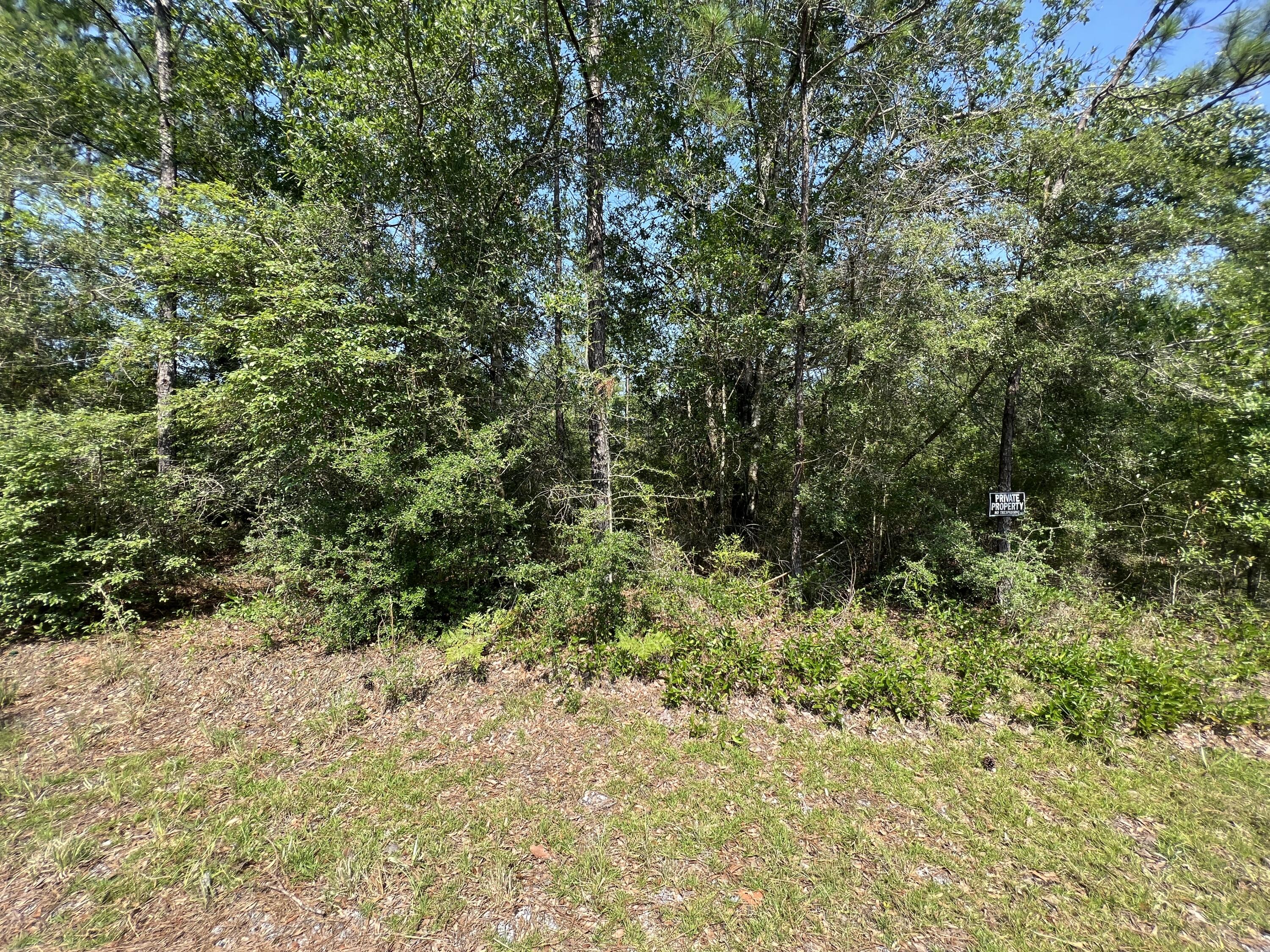 METES & BOUNDS - Farm