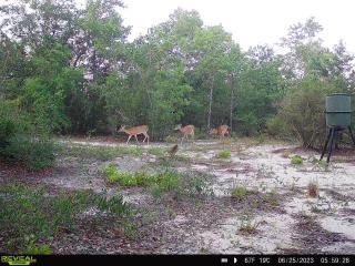 METES & BOUNDS - Farm