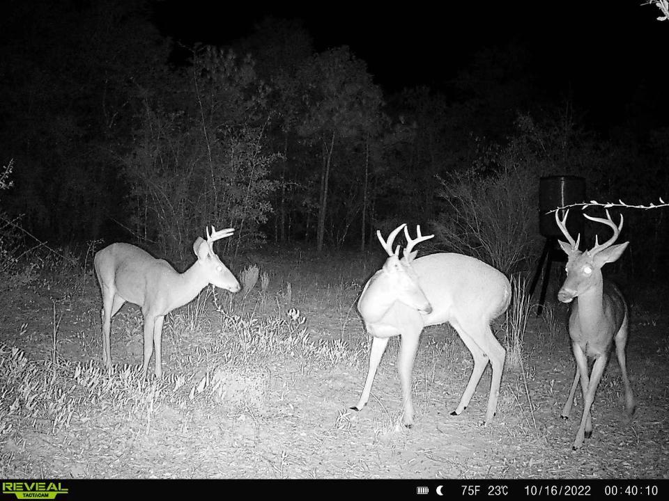 METES & BOUNDS - Farm