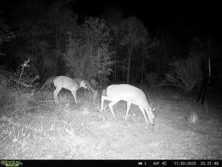 METES & BOUNDS - Farm