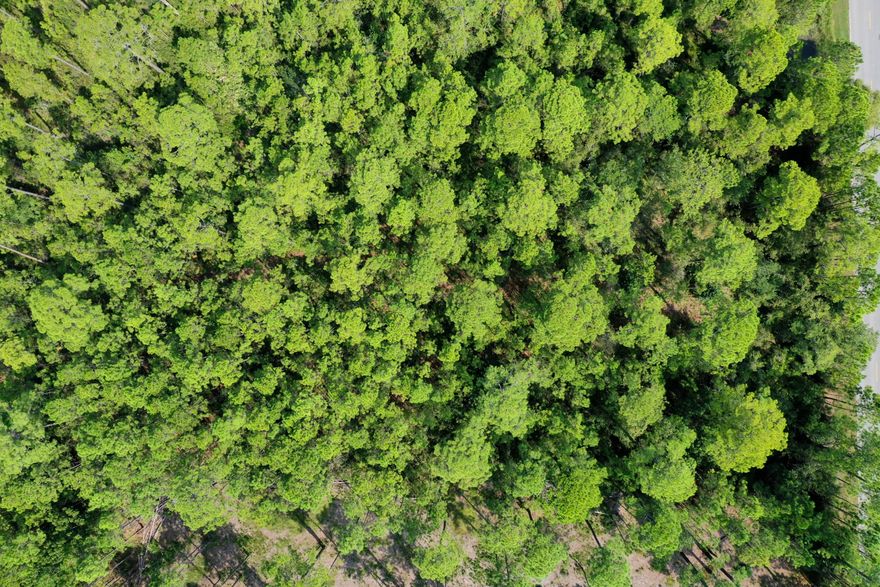 10 Acres of South Walton. Build Your Private Dream Home on 10 Acres. Close to Cessna Landing Boat Ramp.