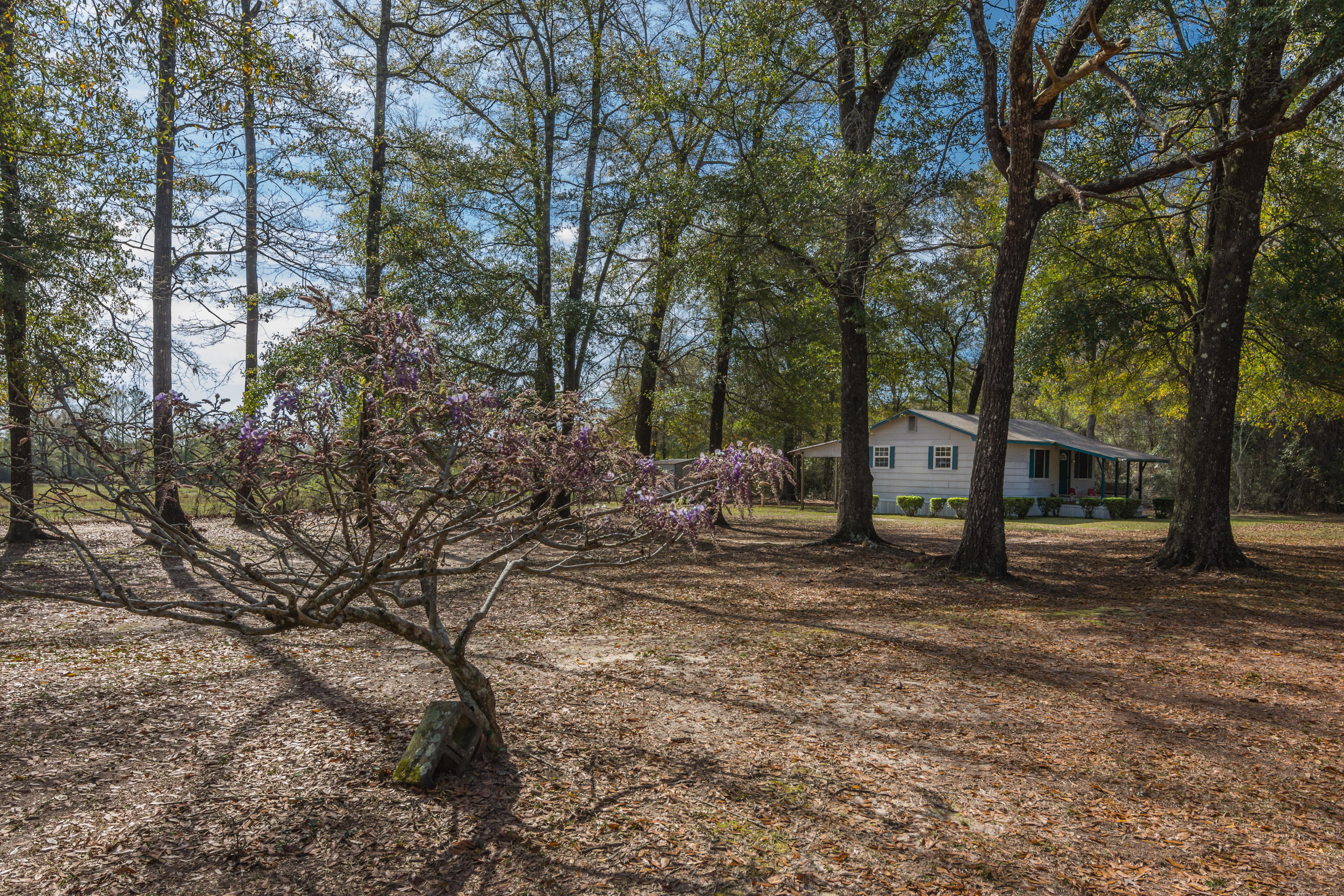 NONESUCH WAY - Residential