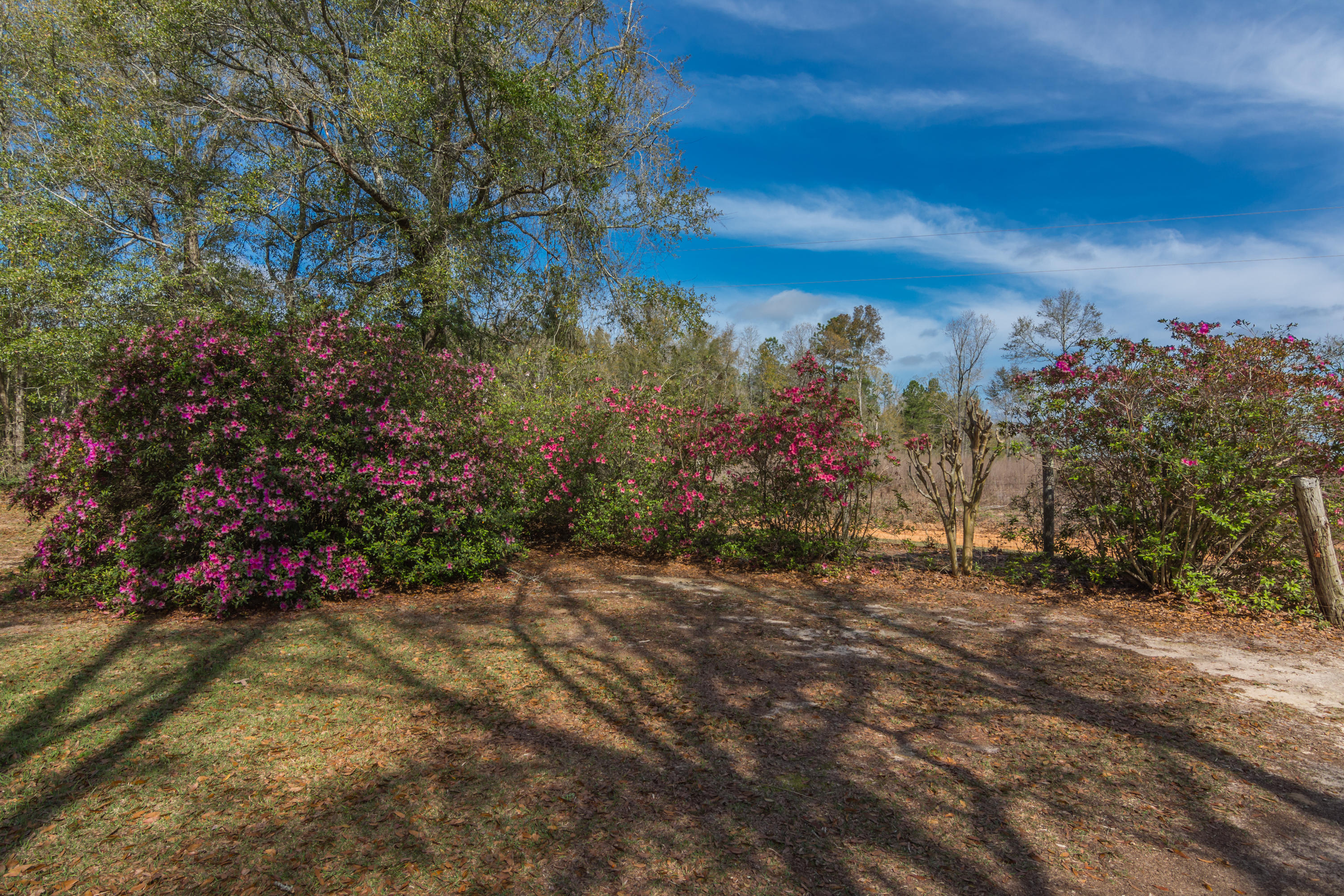 NONESUCH WAY - Residential