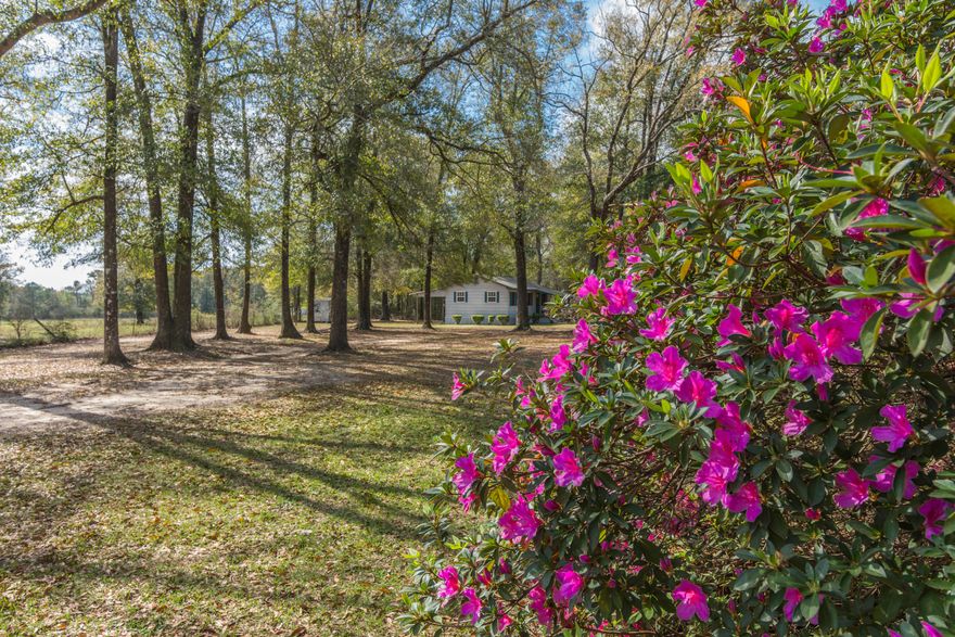 Must see affordable country charmer located on a beautiful 1 acre lot. This home is the perfect place for a first time home buyer or any empty nester looking for the opportunity to down size with a little seclusion. Your new yard features a level lot with beautiful hardwoods, large azaleas, and wonderful pasture views next door. A few features in your new home include wood laminate floors, a semi open floor plan that provides a large feeling inside, and a great sized master bedroom with a walk in closet and one standard closet. Call to schedule your appointment today!!!