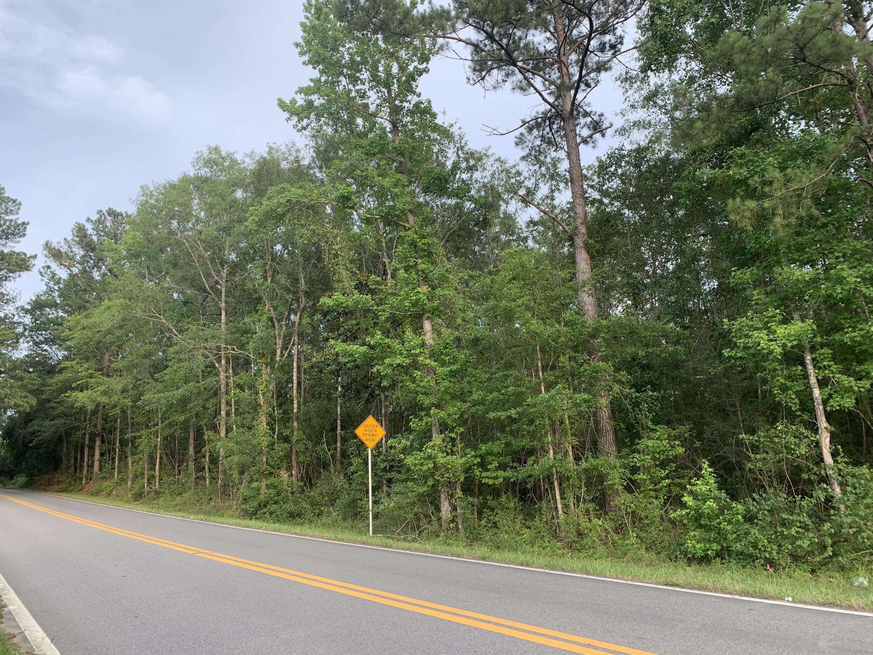 Build your dream home on this beautiful 8.12 acres. This property offers seclusion and privacy. Bring your horses or cattle along with you. Only about 20 Minutes from the historic town of DeFuniak Springs. You can be at Florida's beautiful sandy beaches in about 45 minutes & just a few minutes away from many beautiful natural Springs.