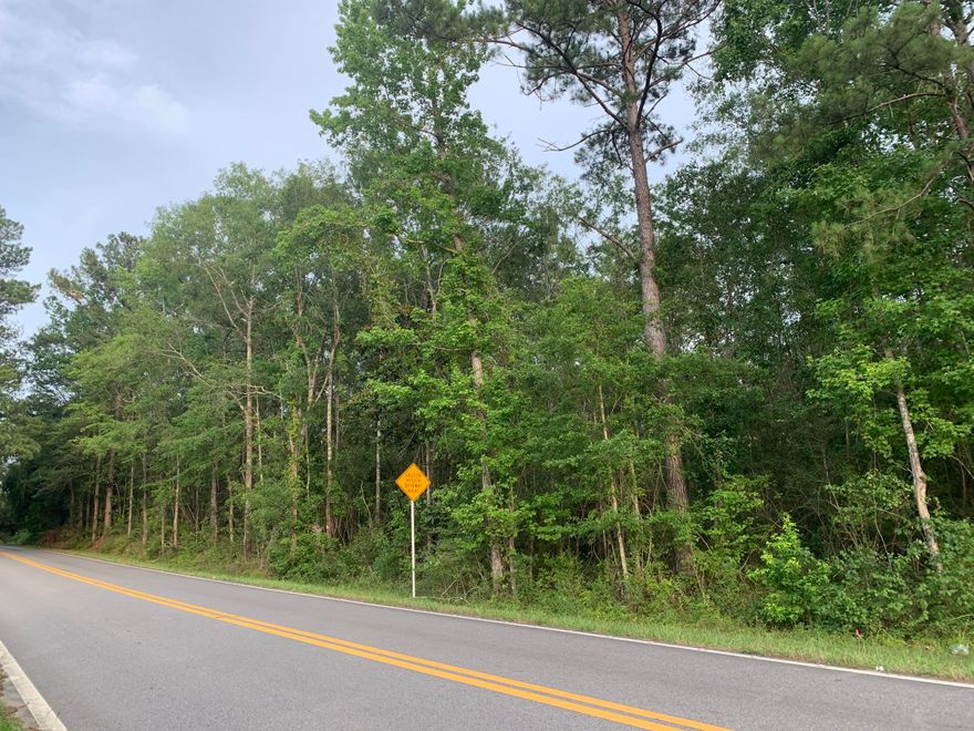 Build your dream home on this beautiful 8.12 acres. This property offers seclusion and privacy. Bring your horses or cattle along with you. Only about 20 Minutes from the historic town of DeFuniak Springs. You can be at Florida's beautiful sandy beaches in about 45 minutes & just a few minutes away from many beautiful natural Springs.