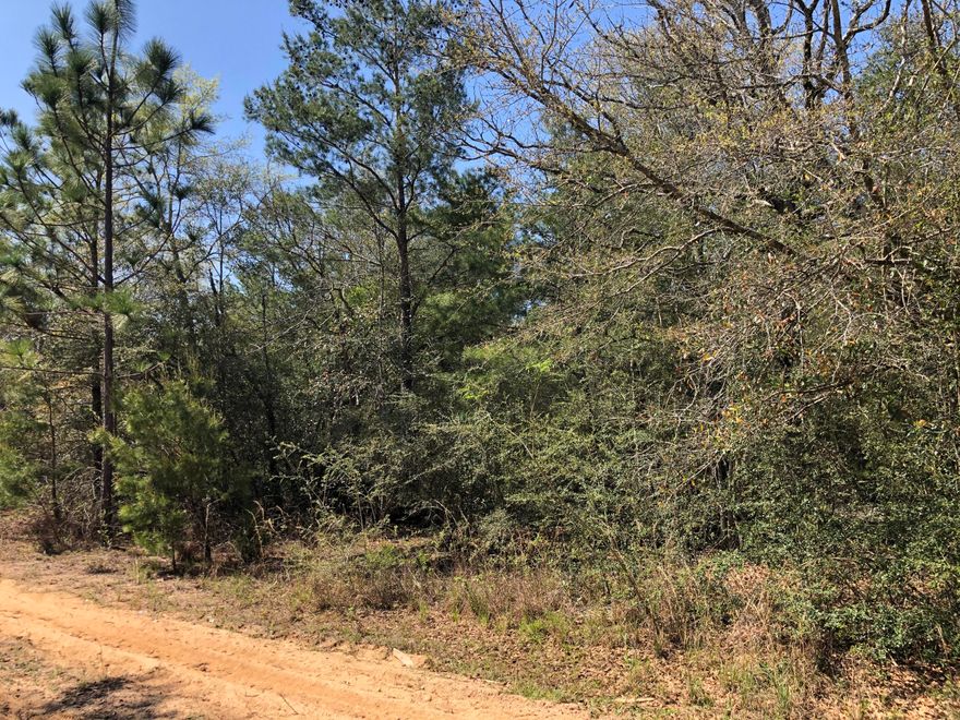 1 acre wooded lot in Juniper Lake Estates. Perfect for building your new home or a new manufactured home. Lot has been surveyed. Lot is being sold as is. Buyer to perform all due-diligence.