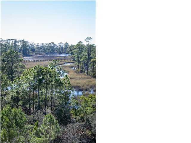 WATERCOLOR - Residential
