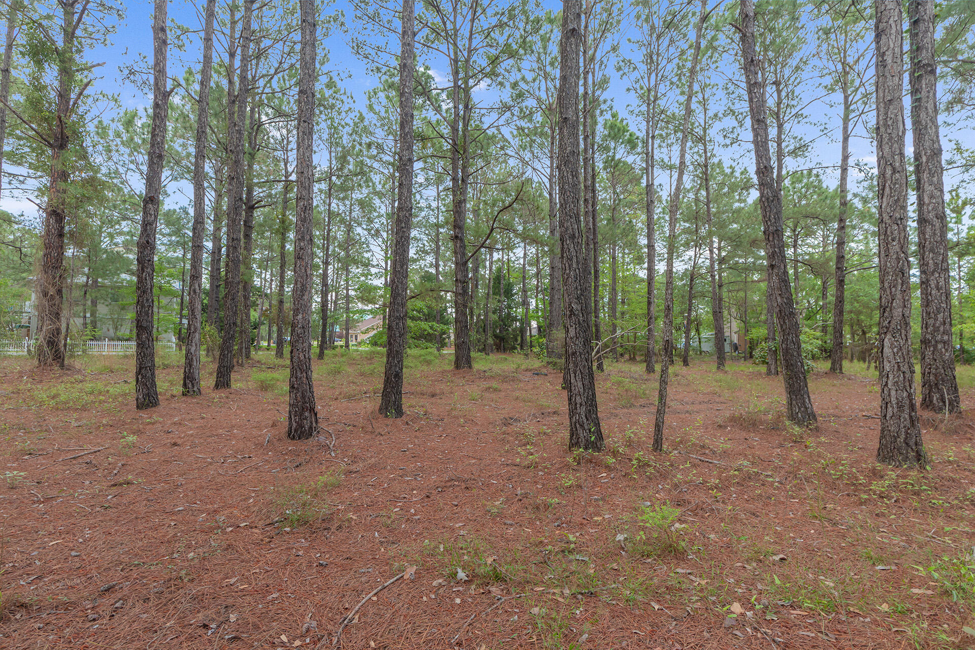 DOLPHIN COVE ESTATES - Land