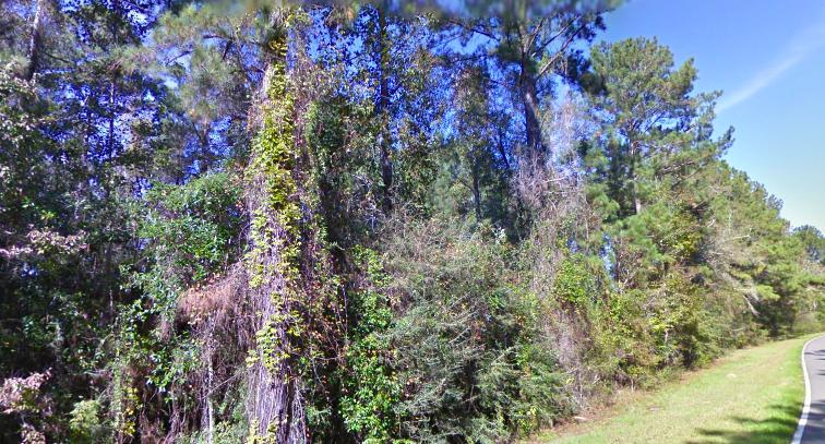 Looking for affordable land to build your dream hunting cabin? This thirty acre parcel is far enough away from the hustle and bustle of city living without having to drive hours away. There are several deer stands/feeders on site and they are waiting for you.
