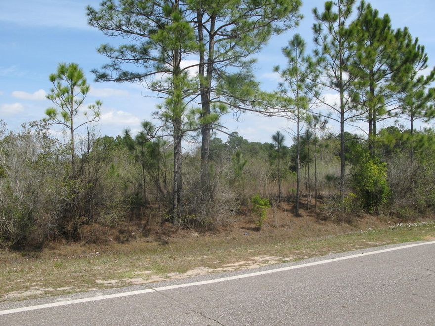 Approx. 4.3 acres was cleared years ago and has natural regrowth. Has electric, water and sewer are not to the property line but close by. May contain some wetlands.
