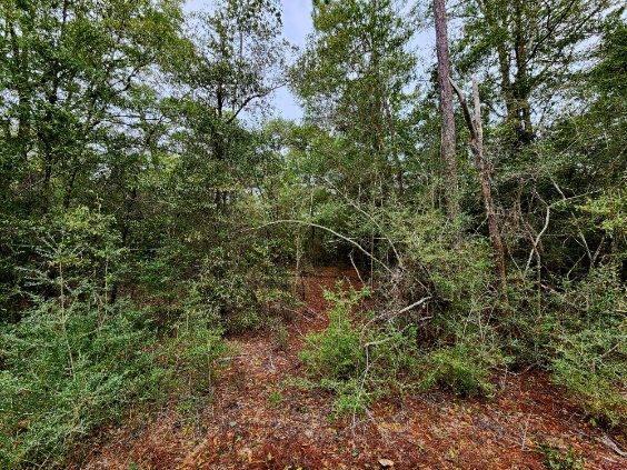 NO RECORDED SUBDIVISION - Land