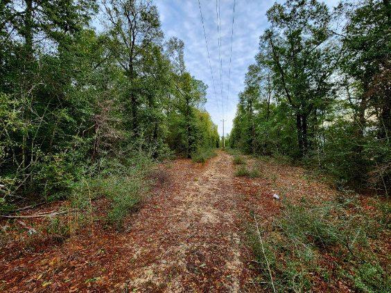 NO RECORDED SUBDIVISION - Land