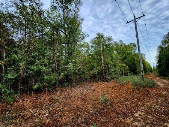 NO RECORDED SUBDIVISION - Land