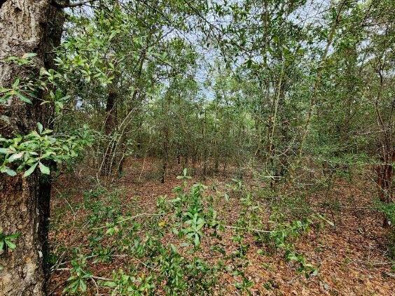 NO RECORDED SUBDIVISION - Land