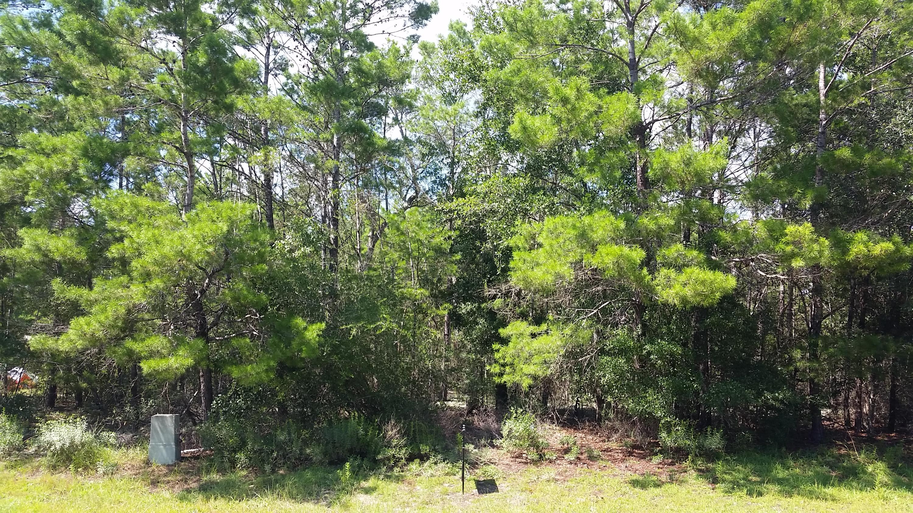 Magnolia Landing - Land