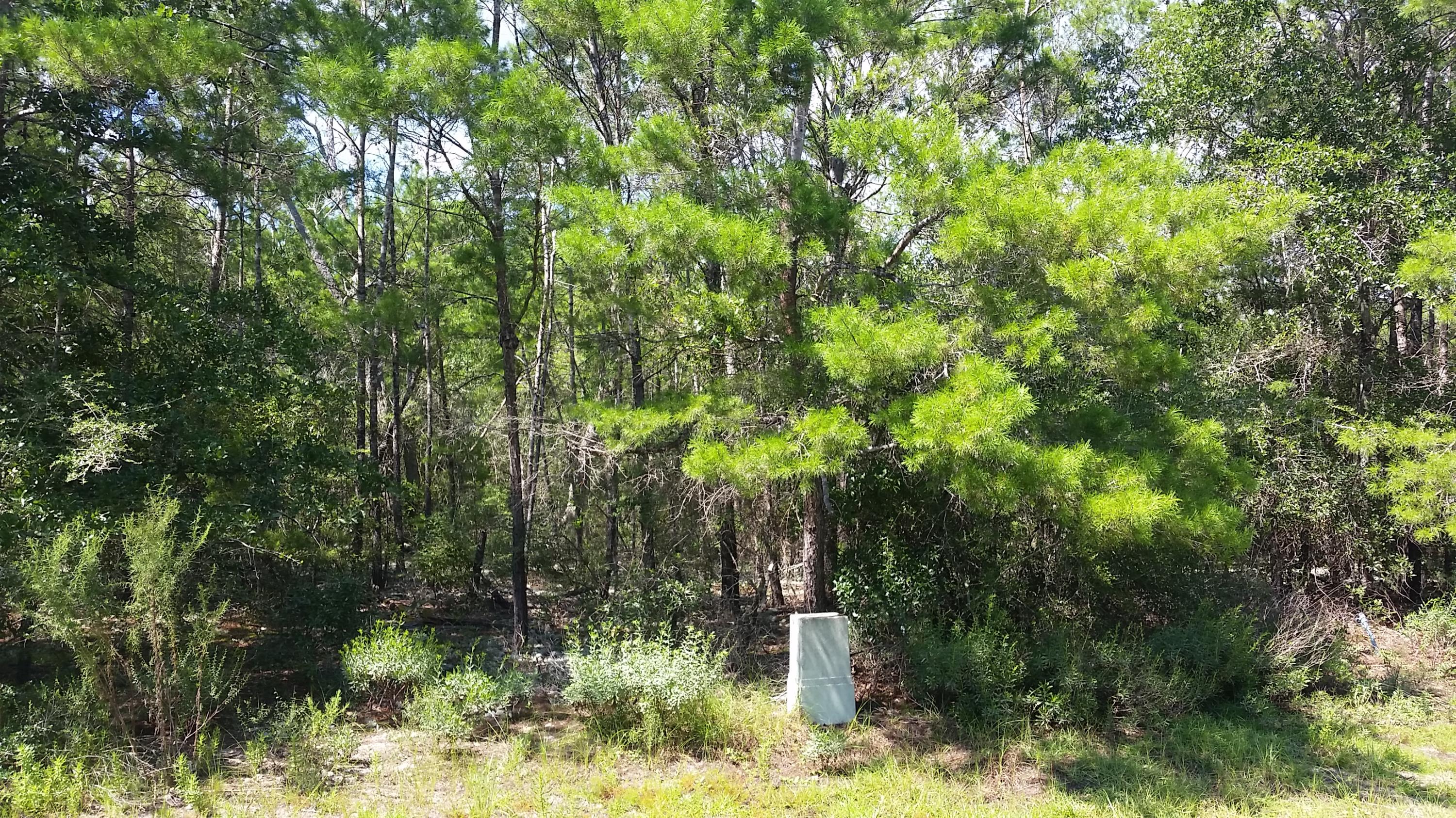 Magnolia Landing - Land
