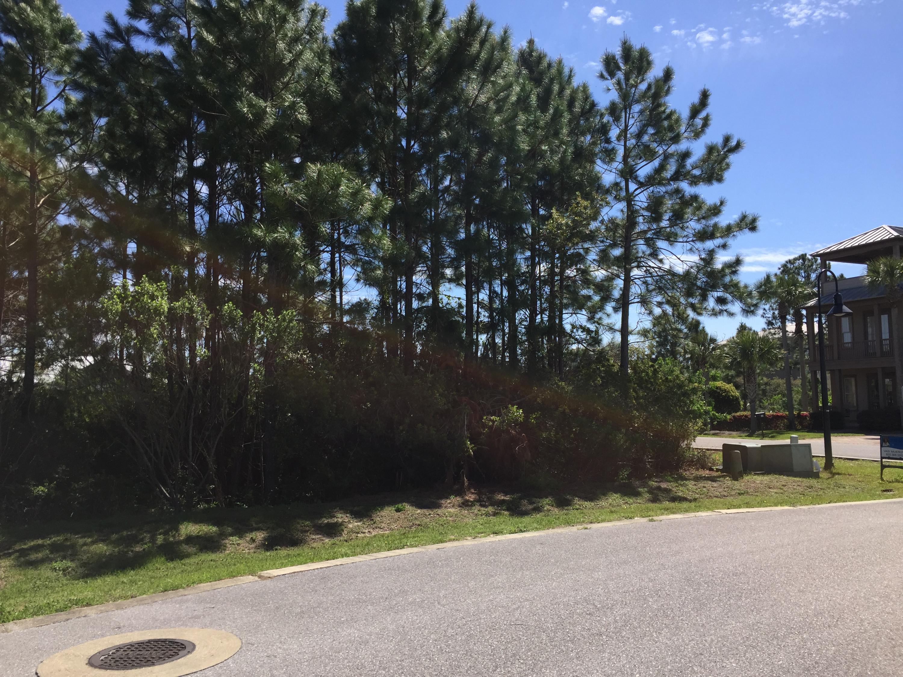 Cypress Breeze Plantation - Land