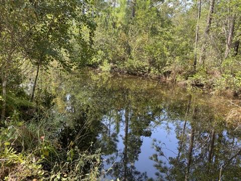 BAGDAD - Residential