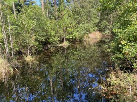 BAGDAD - Residential