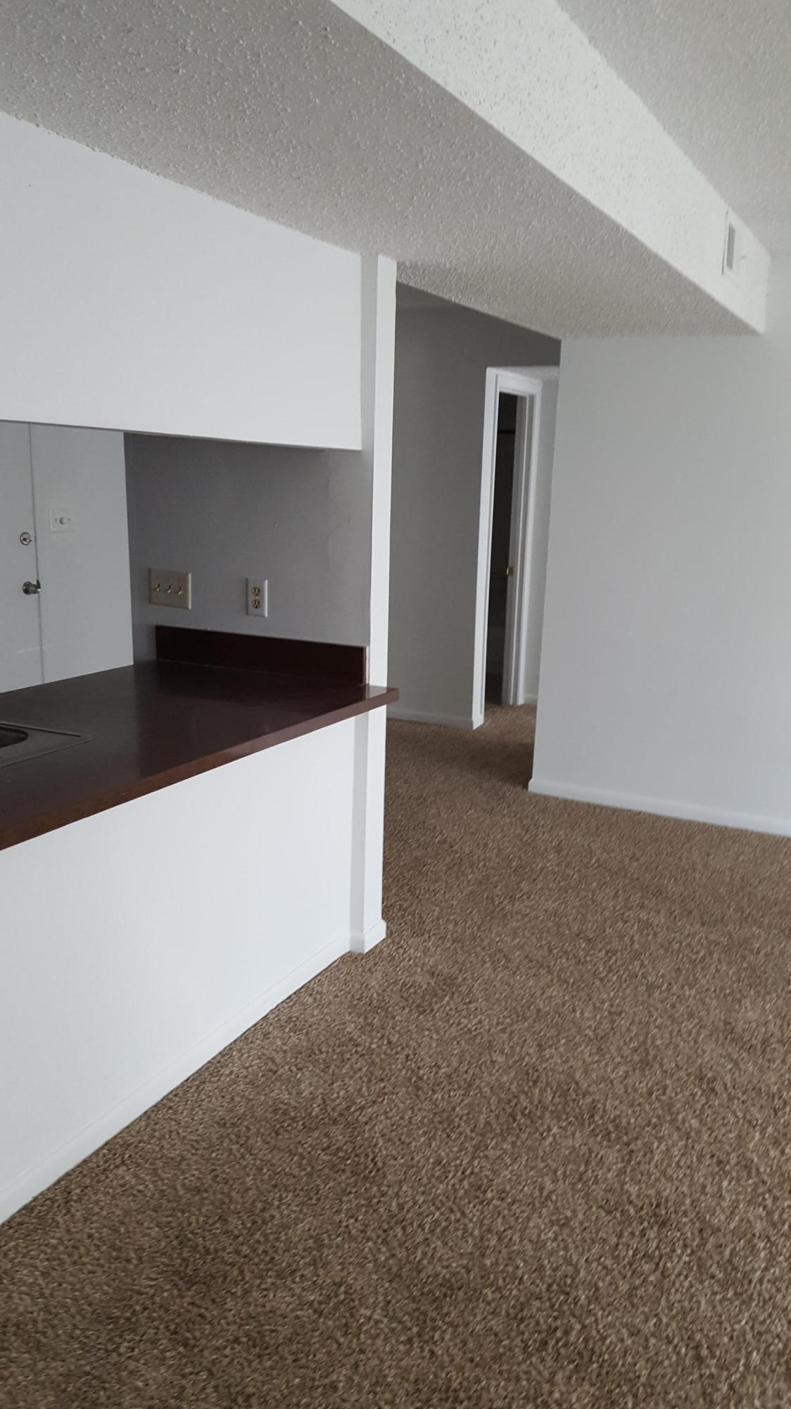 FAIR OAKS VILLAGE CONDO - Residential