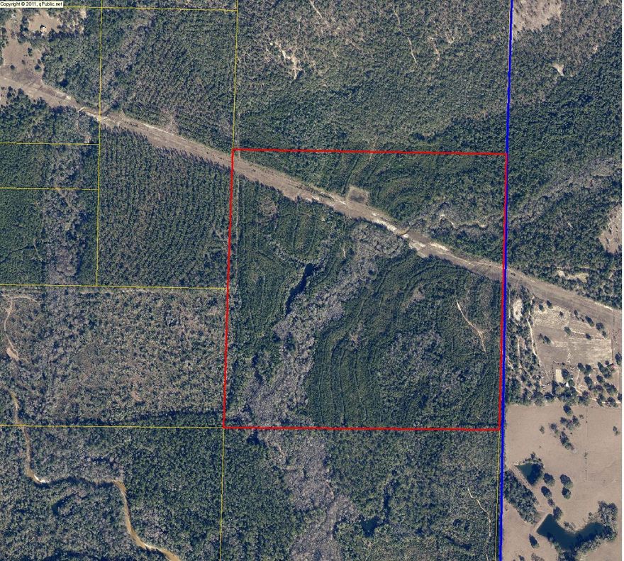 Right under 160 acres of land with a creek and timber you could call your very own. Access only by deeded easement. One of the sellers is a licensed Florida broker. Property has a gas pipeline that runs on the northern part of the property. More pictures will be uploaded soon
