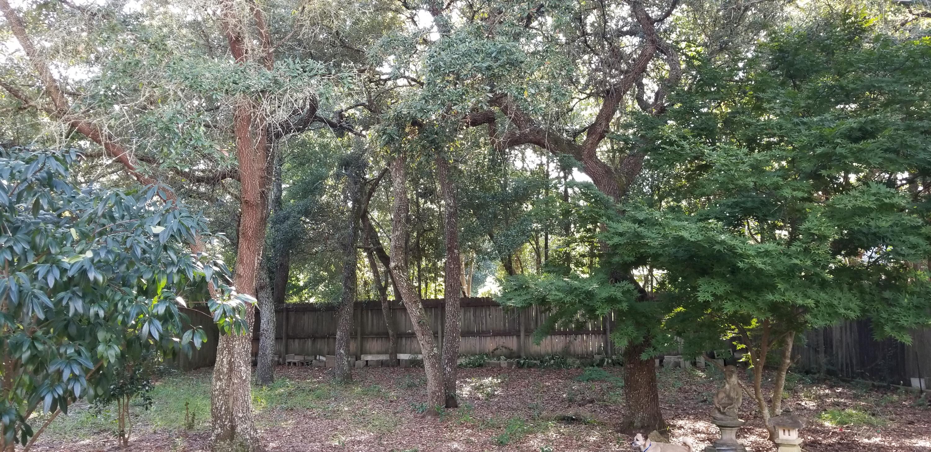 INDIGO VILLAGE - Residential