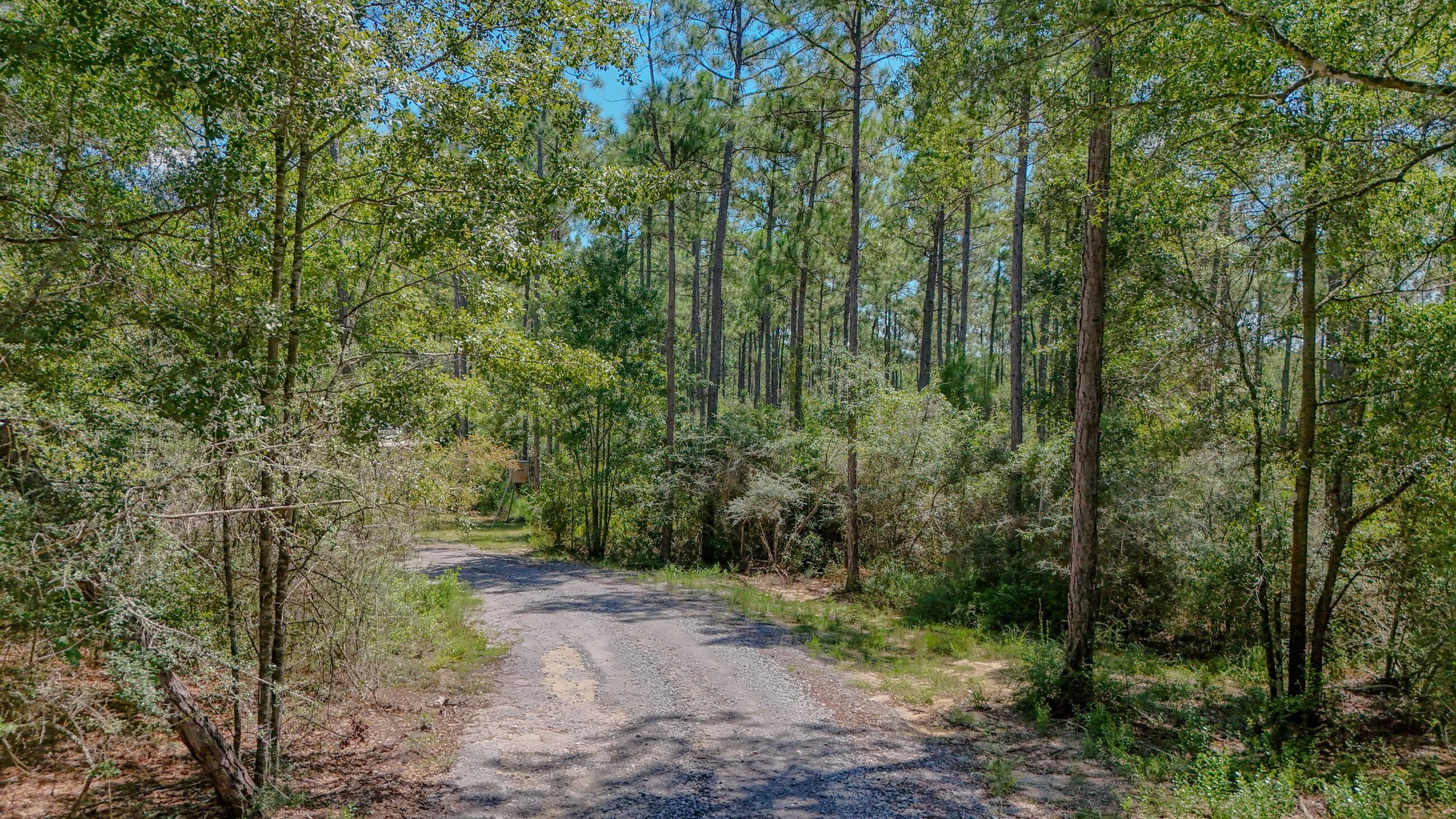 WALTON PLANTATION - Residential