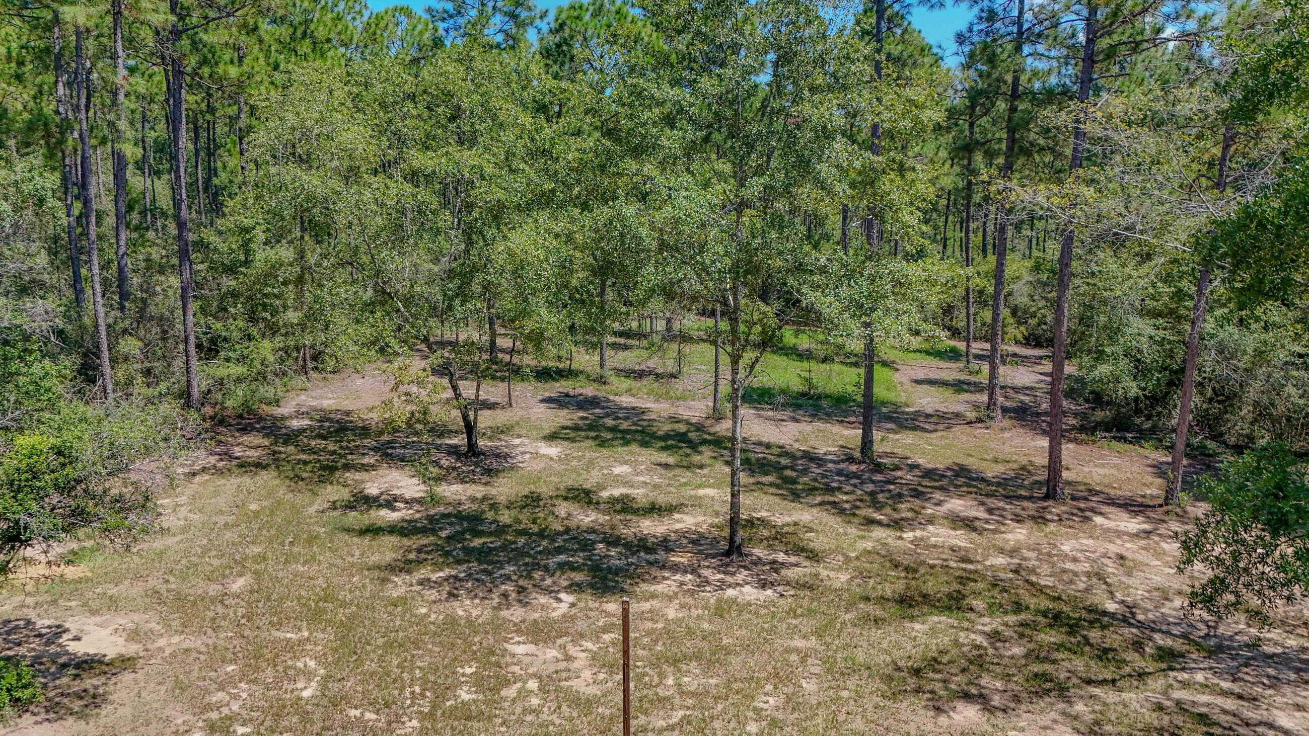 WALTON PLANTATION - Residential