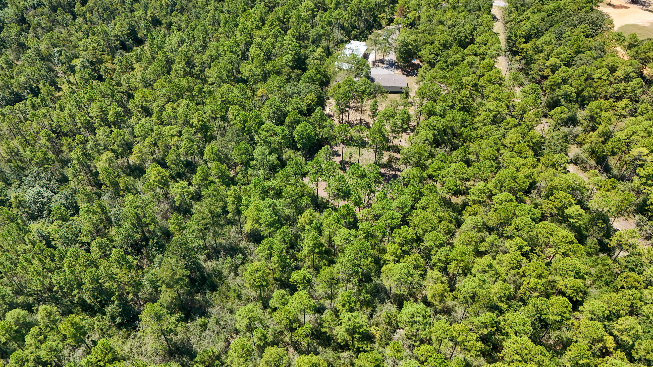 WALTON PLANTATION - Residential
