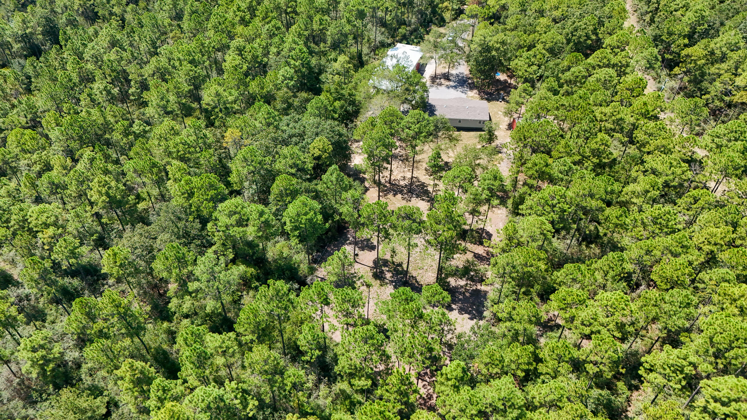 WALTON PLANTATION - Residential