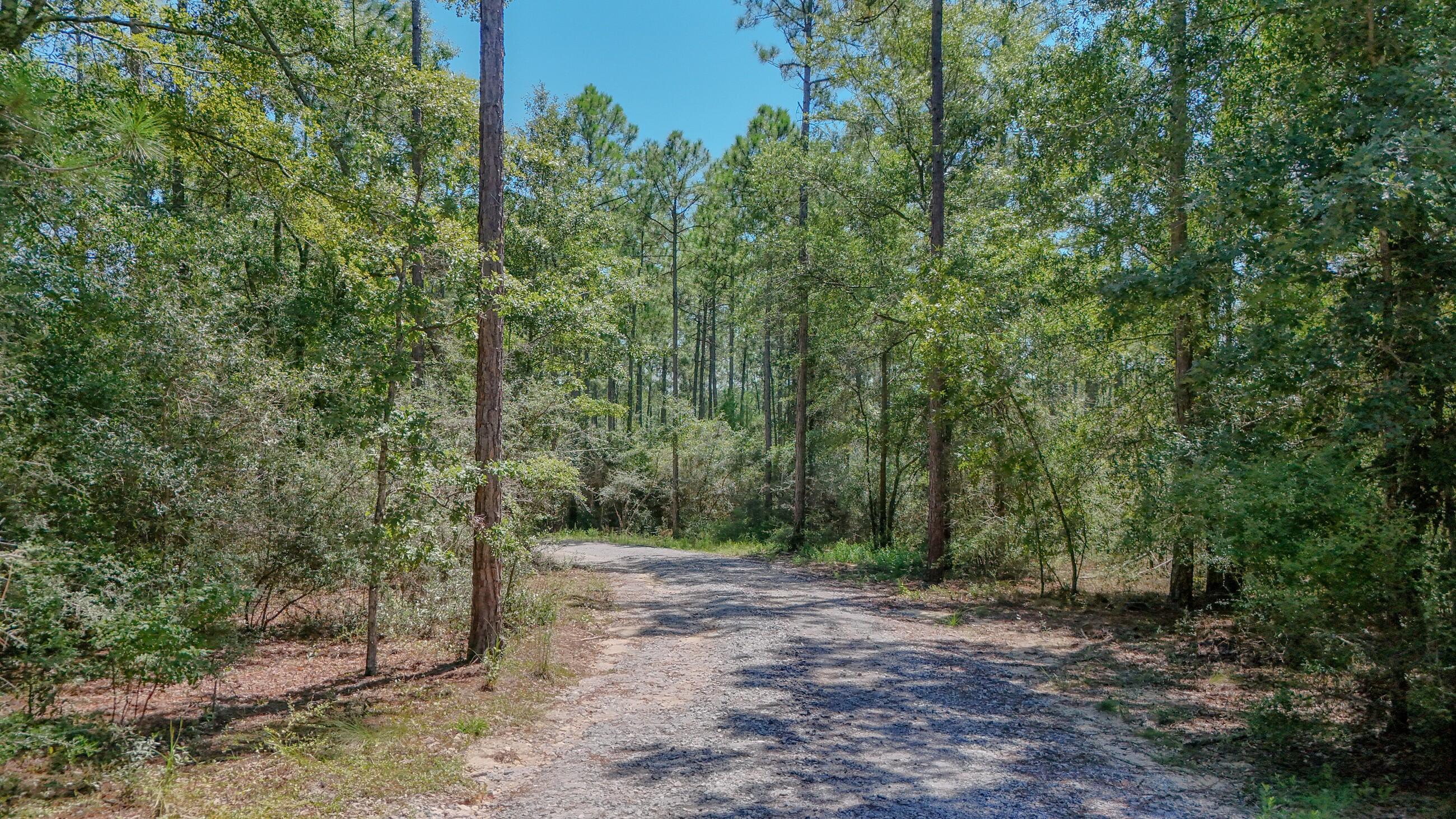 WALTON PLANTATION - Residential