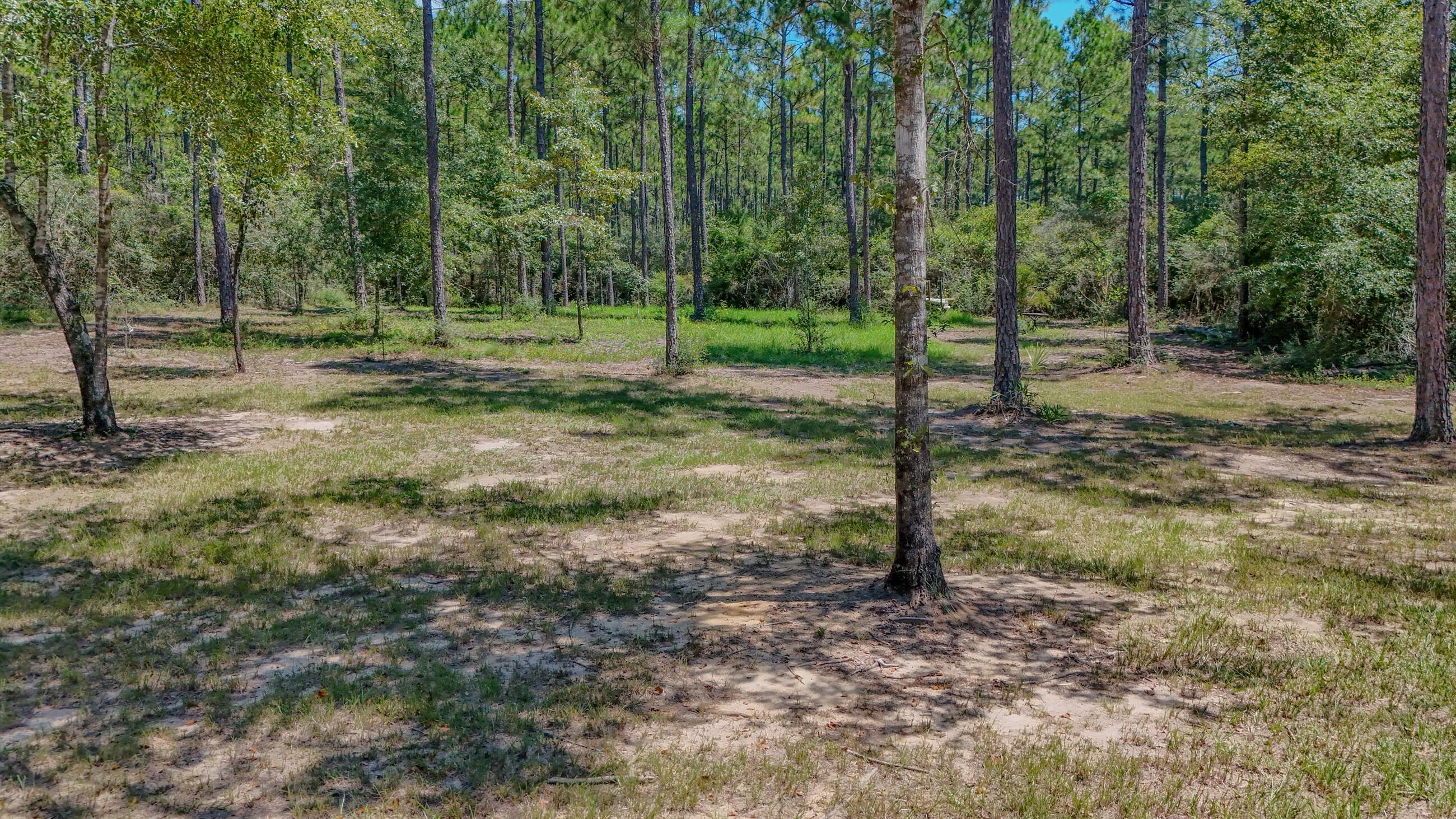 WALTON PLANTATION - Residential