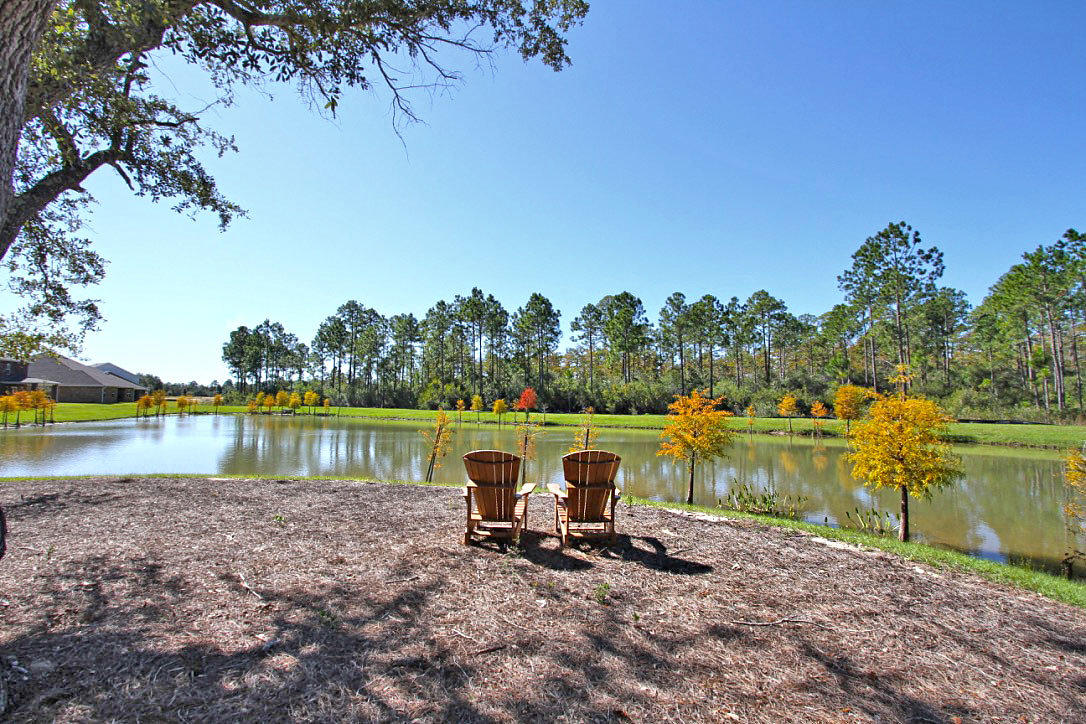 HAMMOCK BAY - Land