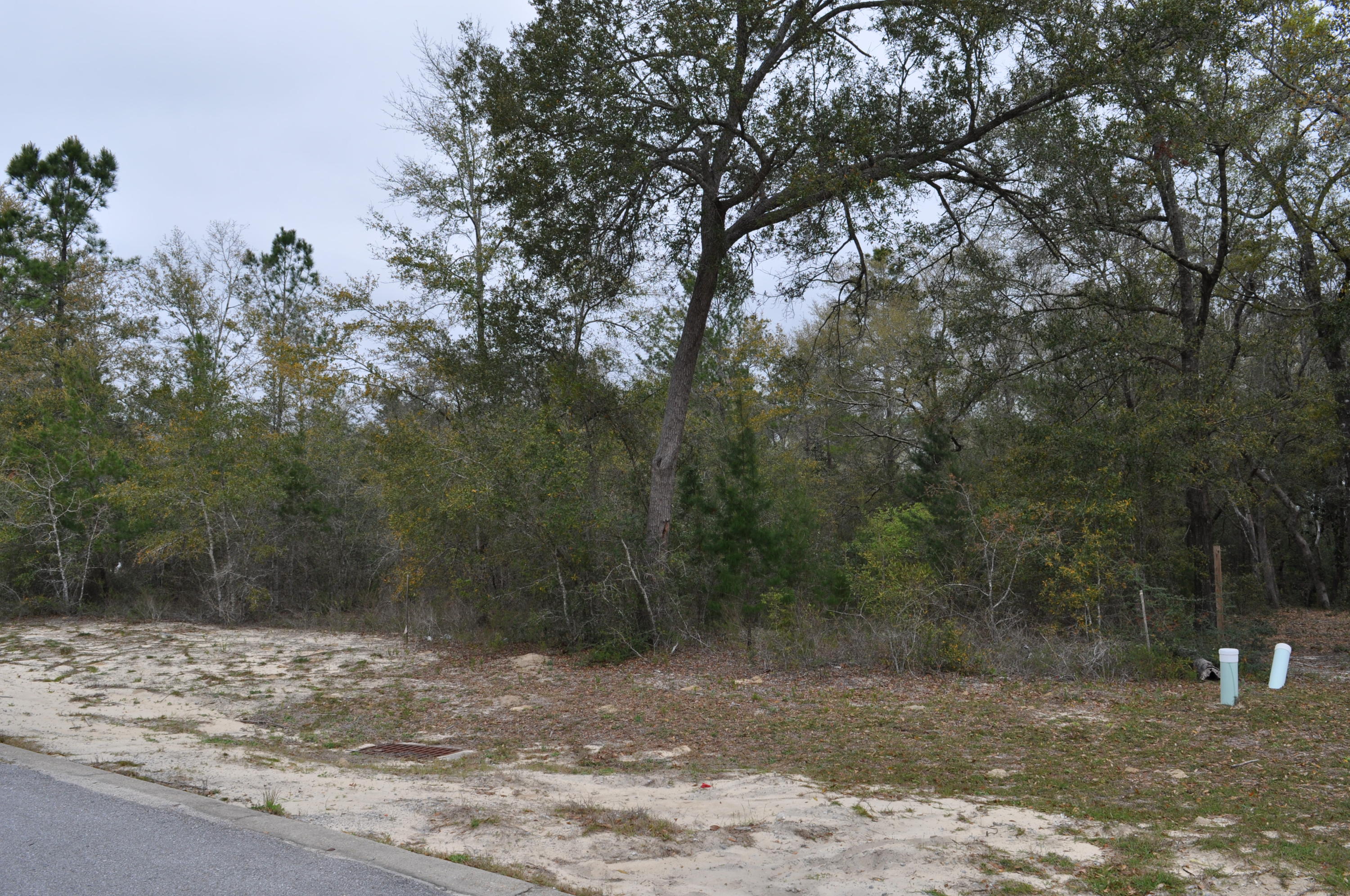 HAMMOCK BAY - Land