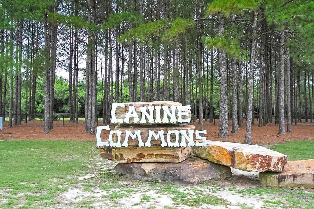 HAMMOCK BAY - Land