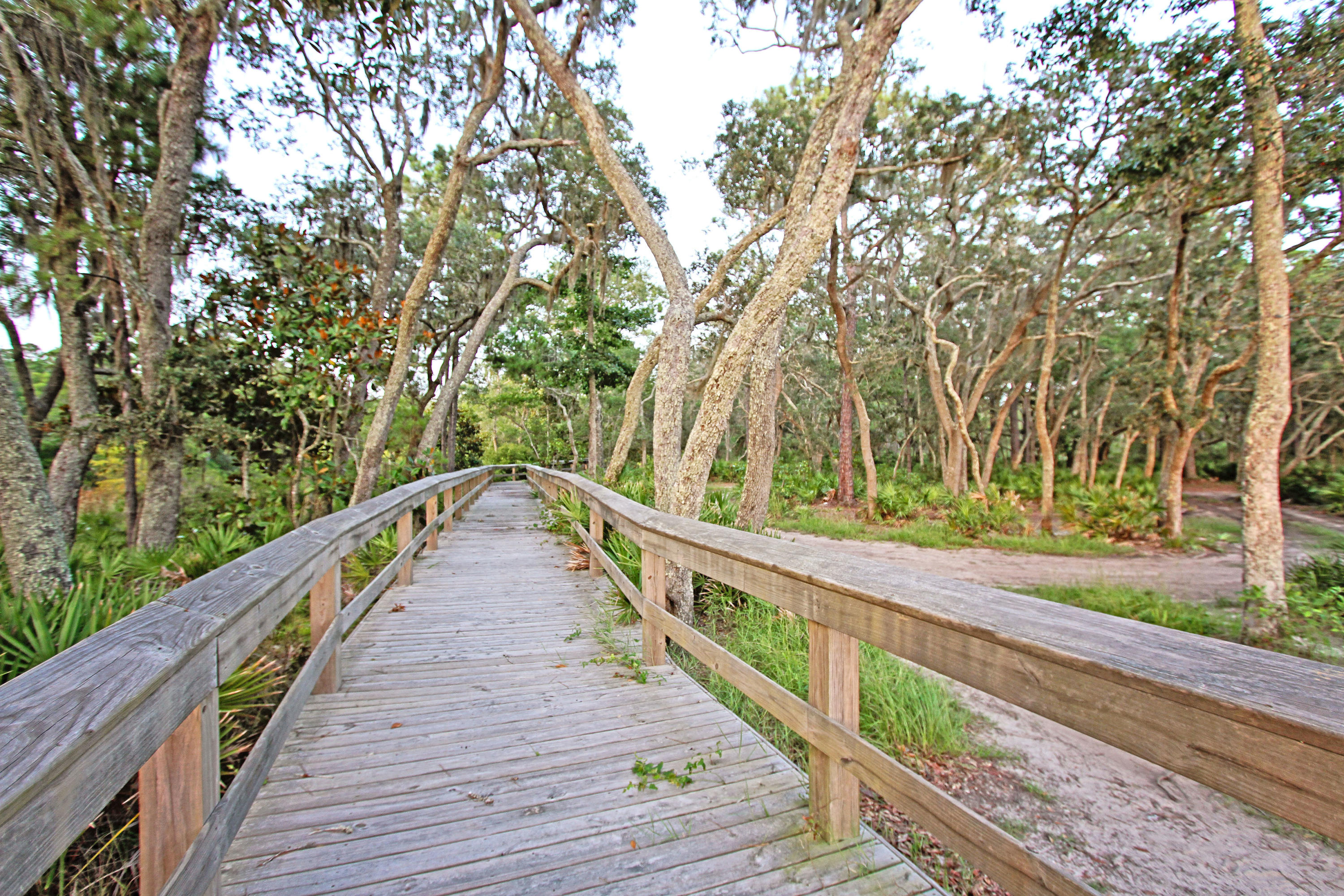HAMMOCK BAY - Land