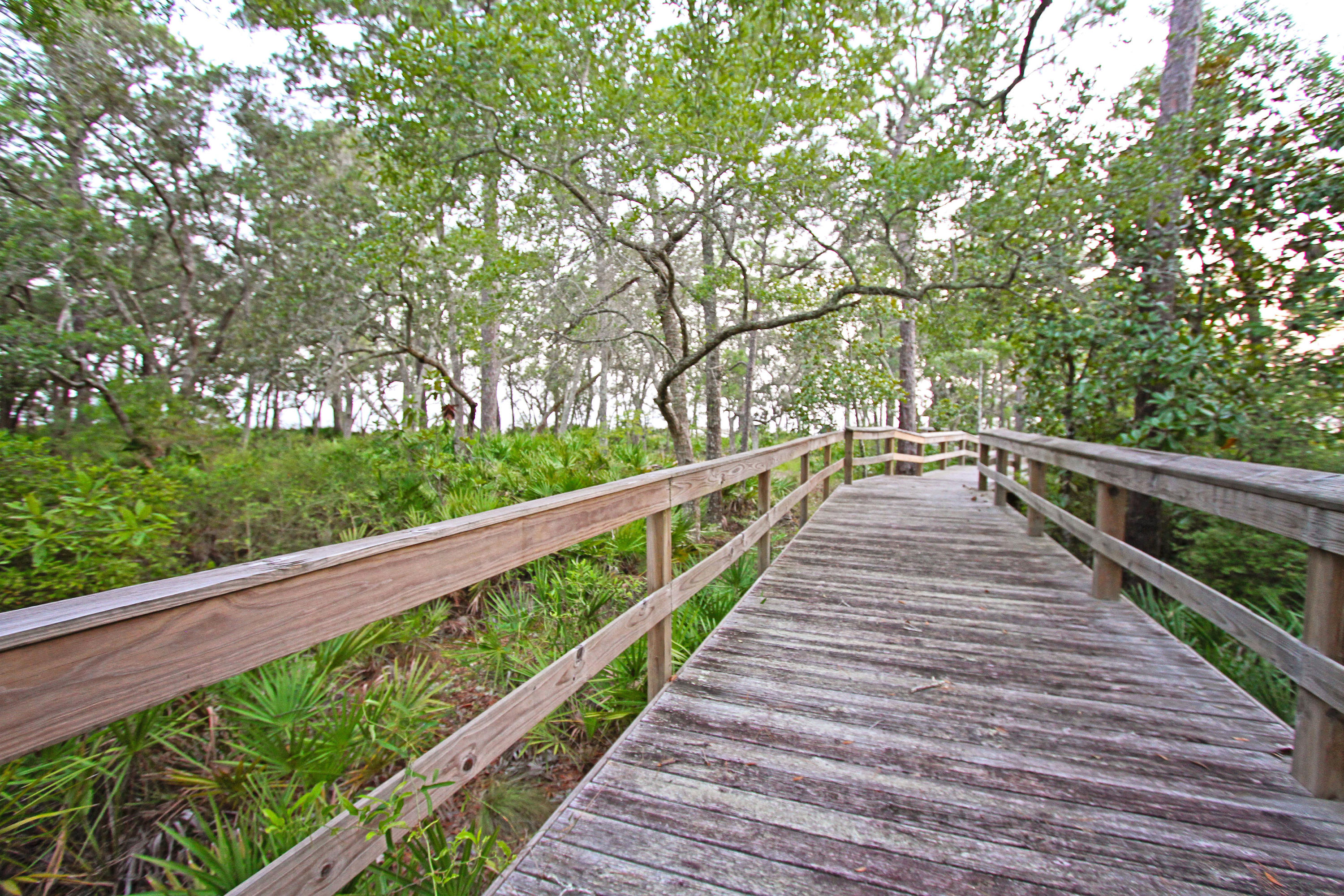 HAMMOCK BAY - Land